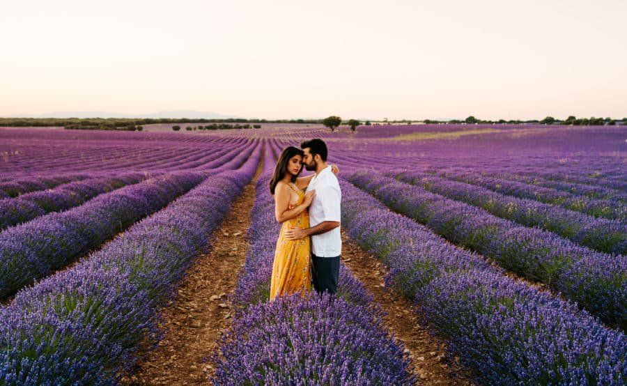 Brihuega-Lavender-Fields-Engagement-Photos-Campos-de-Lavanda